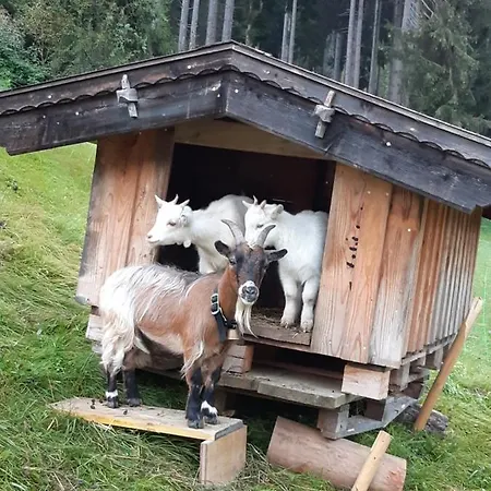 Schneiderhof *